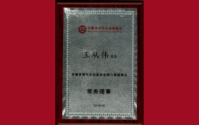 公司董事、副總經理王從偉先生被增選為省青年企業(yè)家協(xié)會常務理事